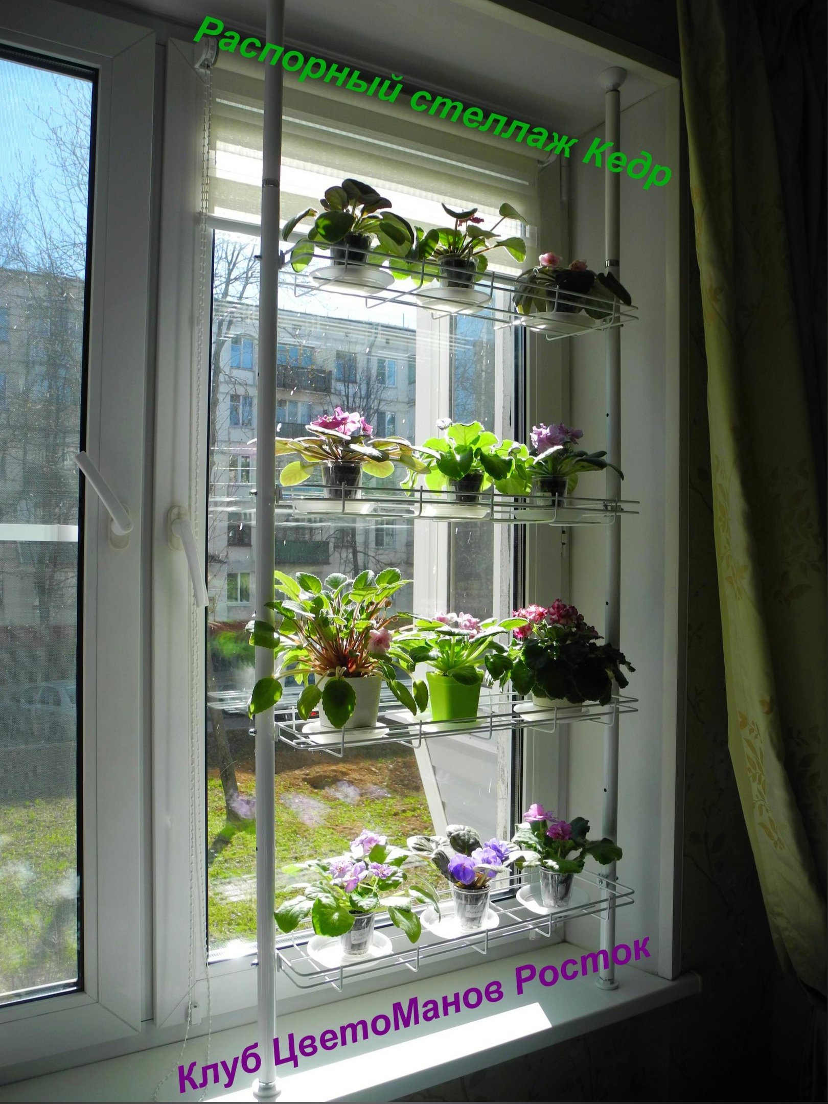 распорный стеллаж для растений и рассады на подоконник. Фото N14